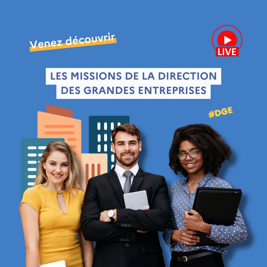 Venez découvrir Les Missions de la direction des grandes entreprises